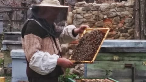 beekeeper