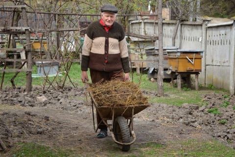 pushing manure filled wheelbarrow