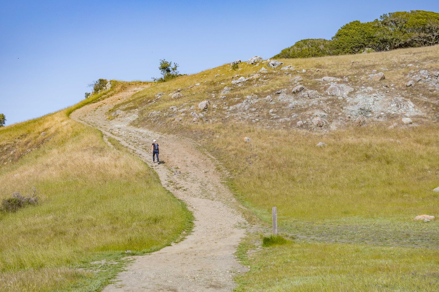 Persistence over years is what distinguishes people who keep weight off